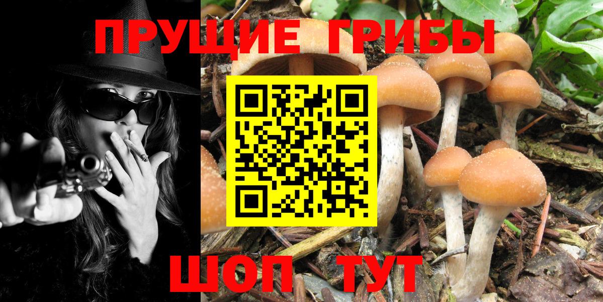 как найти закладки  Вход с VPN  Гусев  Галлюциногенные грибы Psilocybine cubensis  Галлюциногенные грибы Psilocybe 