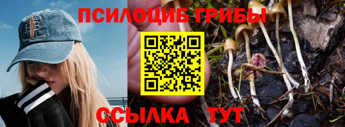 Псилоцибиновые грибы ЛСД Гусев